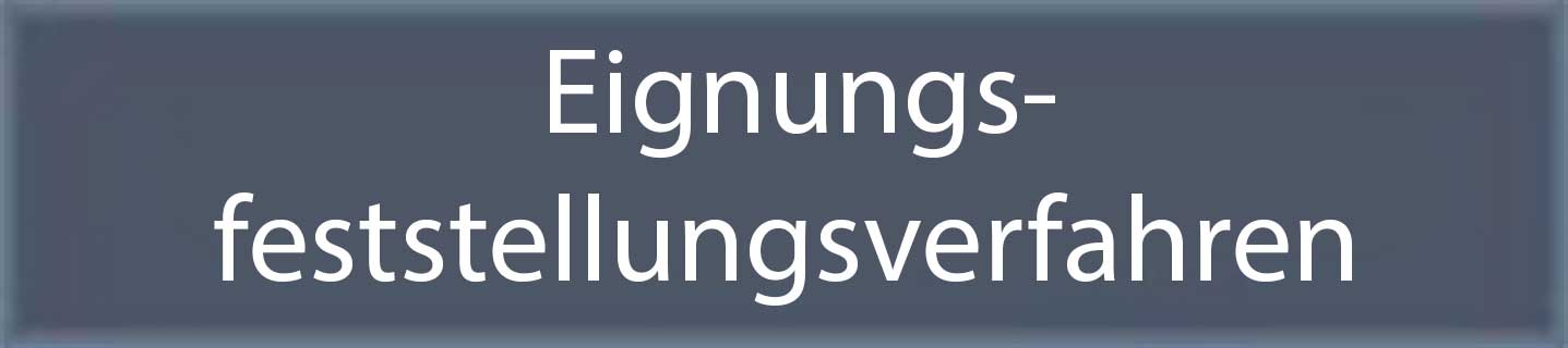 Touchscreen Eignungsfeststellungsverfahren
