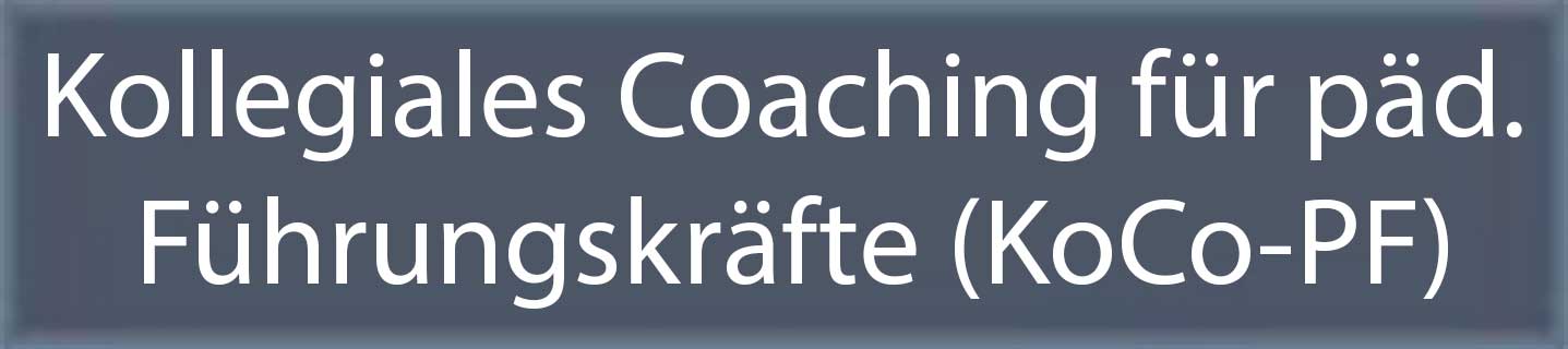 Touchscreen KoCo-PF