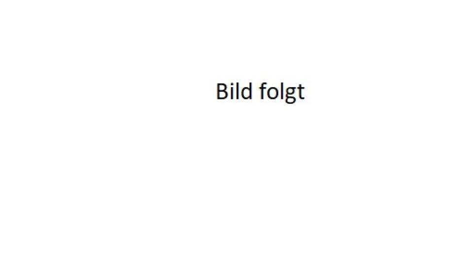 Bild folgt