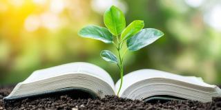 Grüner Spross als offenes Buch mit Naturkulisse