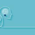 Motivation, Emotion und Kognition in der Weiterbildung
